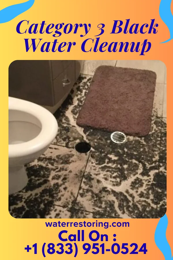 Category 3 Black Water Cleanup in Clover Creek, WA