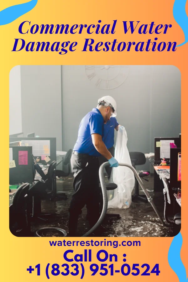 Commercial Water Damage Restoration in Clover Creek, WA